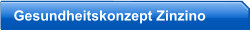 Gesundheitskonzept Zinzino